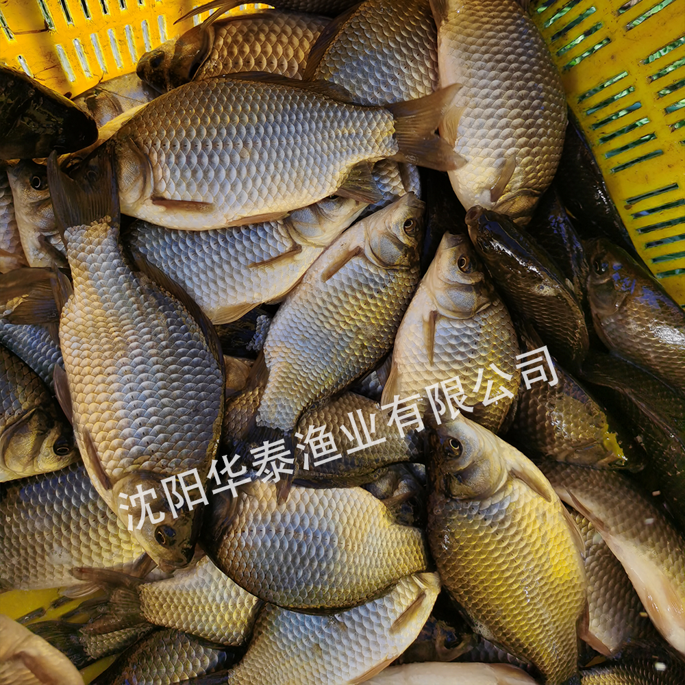 &#20048;&#23478;&#65288;&#20013;&#22269;&#65289;&#26377;&#38480;&#20844;&#21496;&#32;&#124;&#32;&#28020;&#23460;&#32;&#124;&#32;&#20048;&#23478;