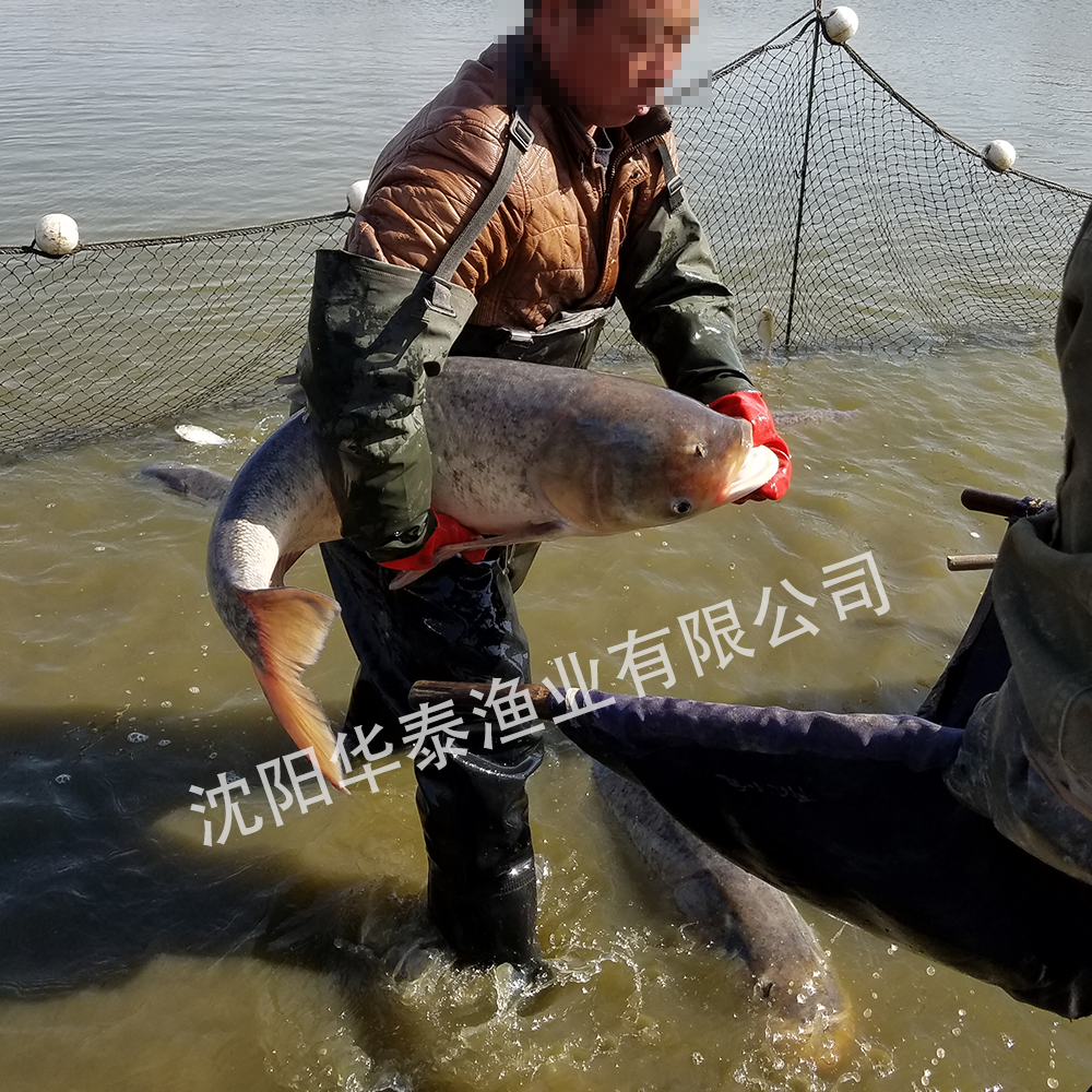 &#20048;&#23478;&#65288;&#20013;&#22269;&#65289;&#26377;&#38480;&#20844;&#21496;&#32;&#124;&#32;&#28020;&#23460;&#32;&#124;&#32;&#20048;&#23478;